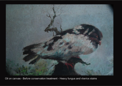 Oil on canvas - Before conservation - Heavy fungus and vberios stains